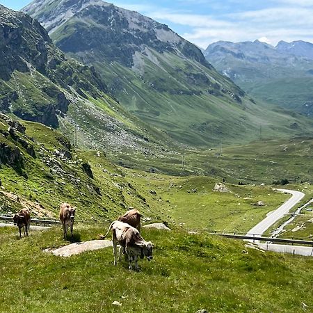 Ospizio La Veduta Hotel Bivio Eksteriør billede